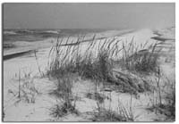 Noreaster