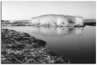 OldGrassStand