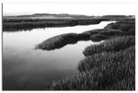 RecedingTide