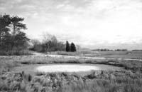 EarlySpringThaw
