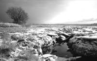 Icebound
