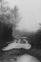 MarshPath