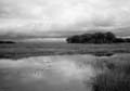 salt_marshscape